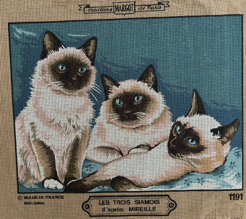 Toile imprimée - thème chat
