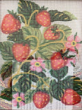 kit petit point 3161K
