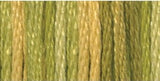 DMC - color variation 4070