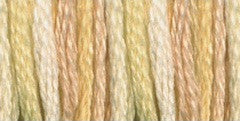 DMC - color variation 4090