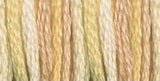 DMC - color variation 4090