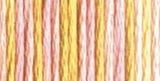 DMC - color variation 4095