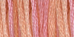 DMC - color variation 4110