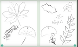 Mes jolies plantes à broder - coffret