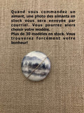 Aimant - 1 pouce